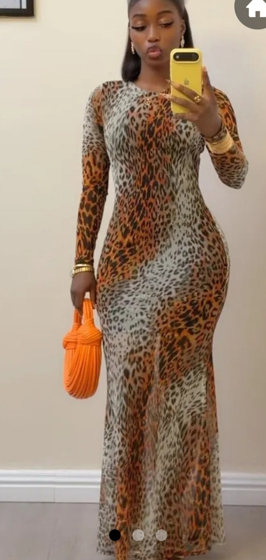 Ouuu Leopard Dress